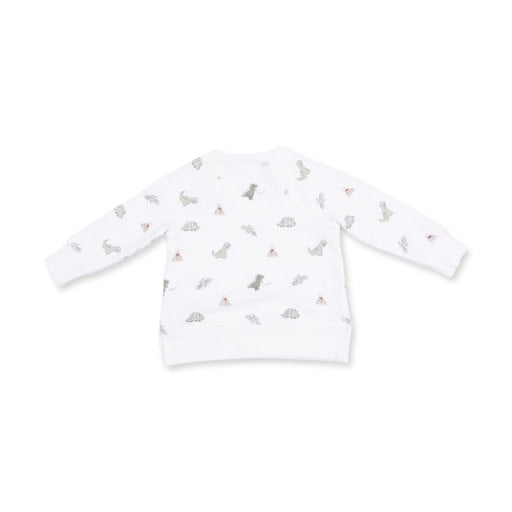 Angel Dear Dinos French Terry - Raglan Sweatshirt