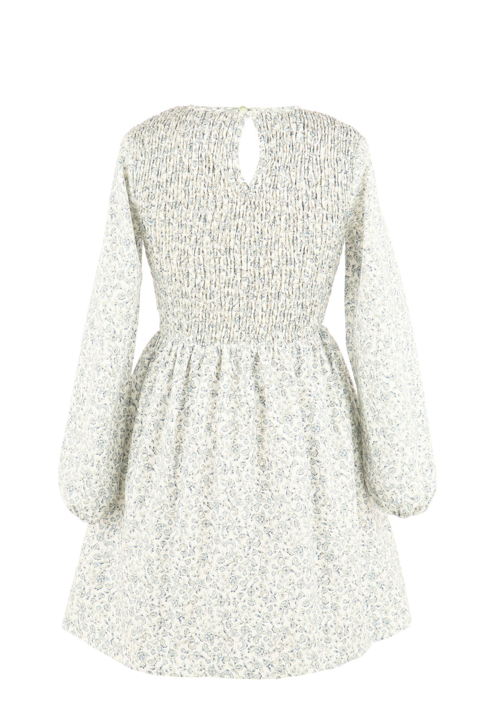 Gabby Blue Floral Sophie Shirred Dress