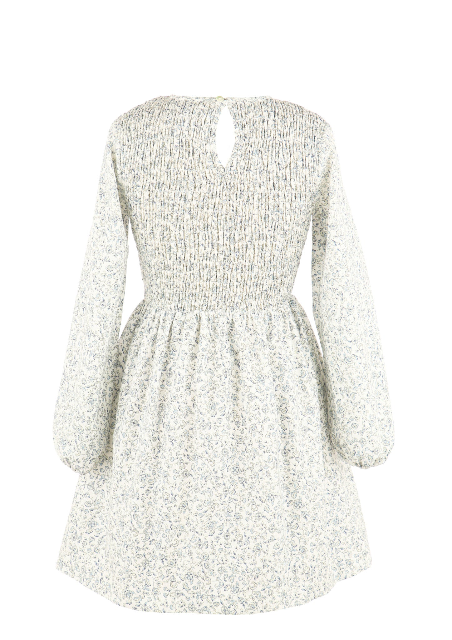 Gabby Blue Floral Sophie Shirred Dress