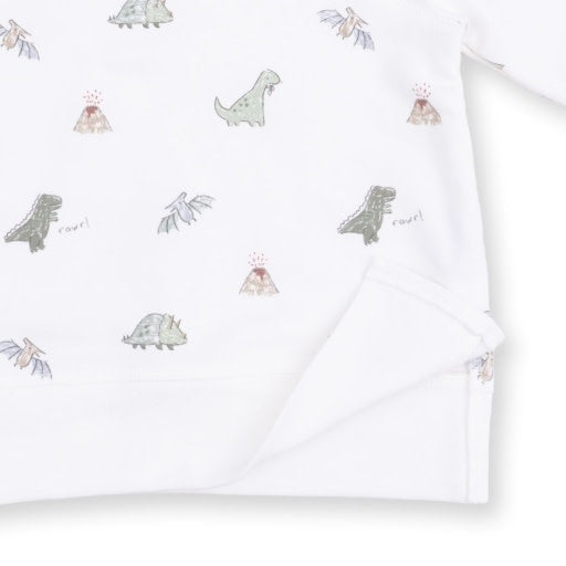 Angel Dear Dinos French Terry - Raglan Sweatshirt