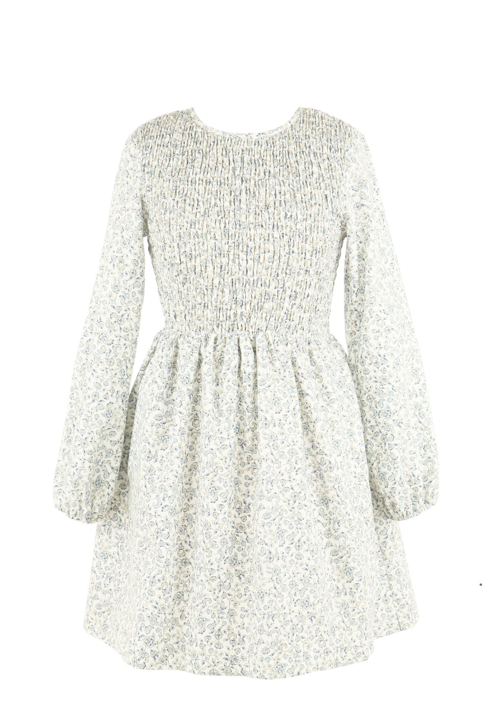 Gabby Blue Floral Sophie Shirred Dress