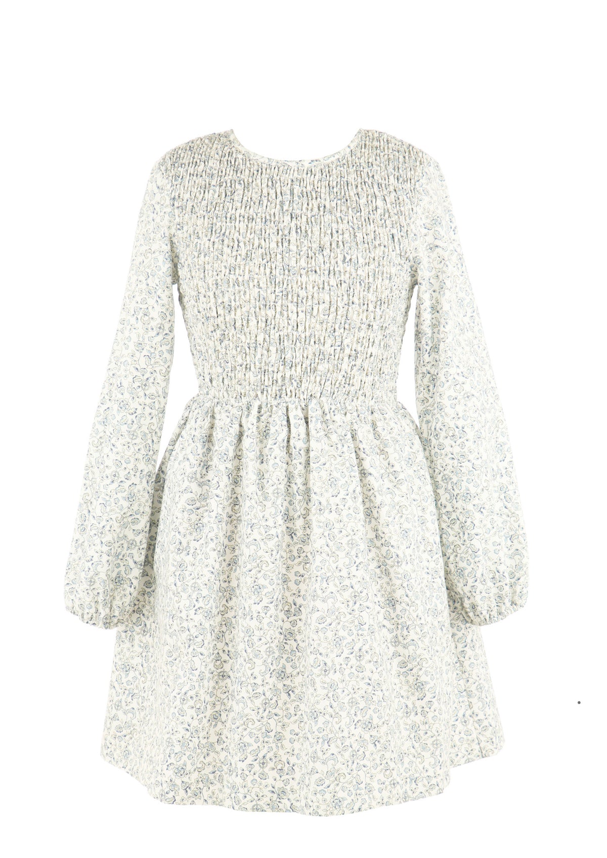 Gabby Blue Floral Sophie Shirred Dress