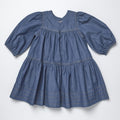 Pink Chicken Chambray Sawyer Dress